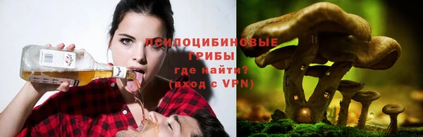 круглые Абаза